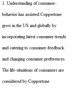 Module 3 Coppertone Creating the Leading Sun Care Brand by Understanding Consumers